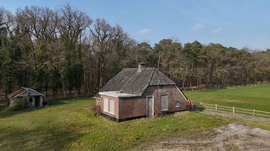 170.000 keer bekeken: het populairste huis staat in Gelderland
