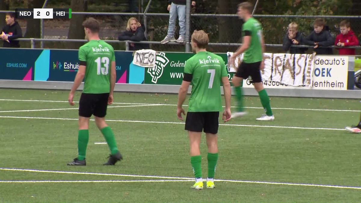 Samenvatting NEO-Heino