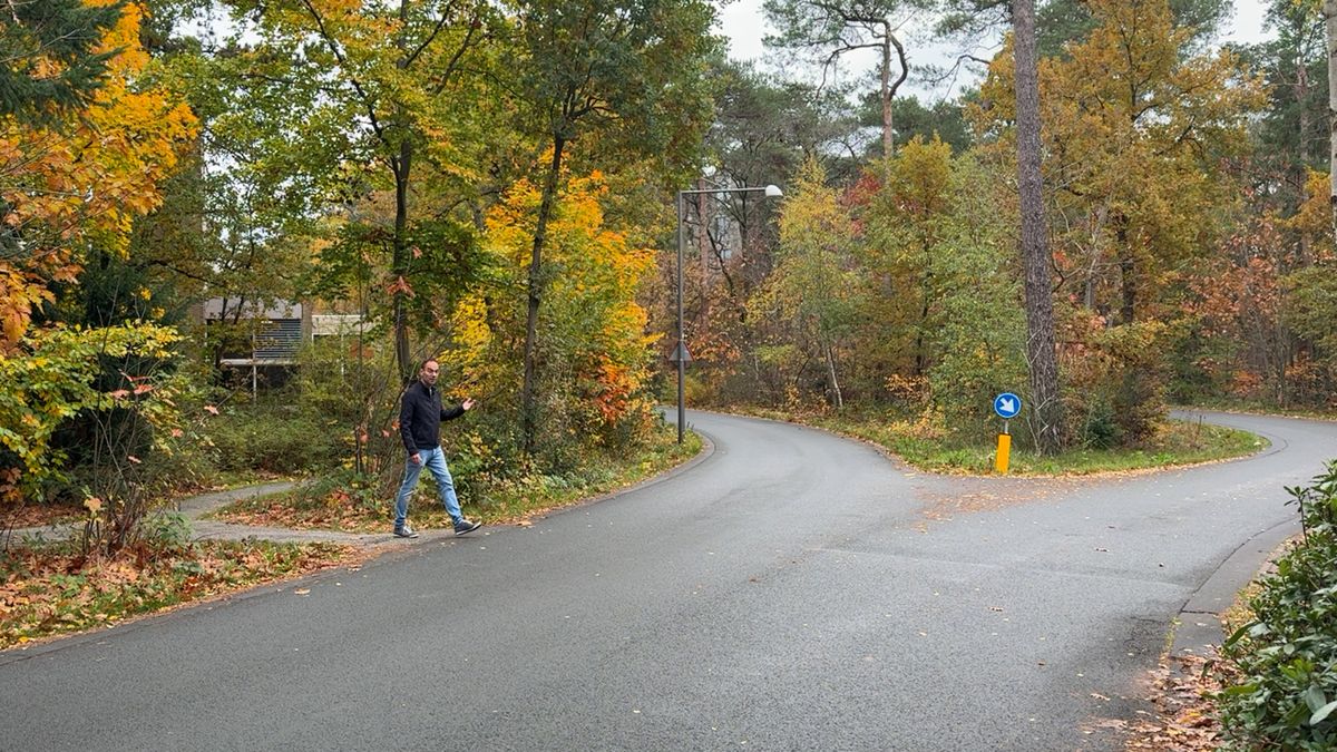Kerckeboschlaan in Zeist is levensgevaarlijk, zeggen bewoners: 'We noemen het de Kerckecrosslaan'