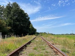 Kabinet veegt eerdere afspraken van tafel: Nedersaksenlijn nog verder uit zicht