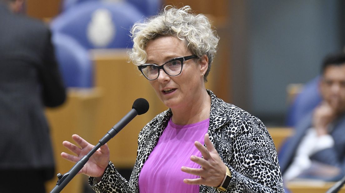 Wieke Paulusma in de Tweede Kamer