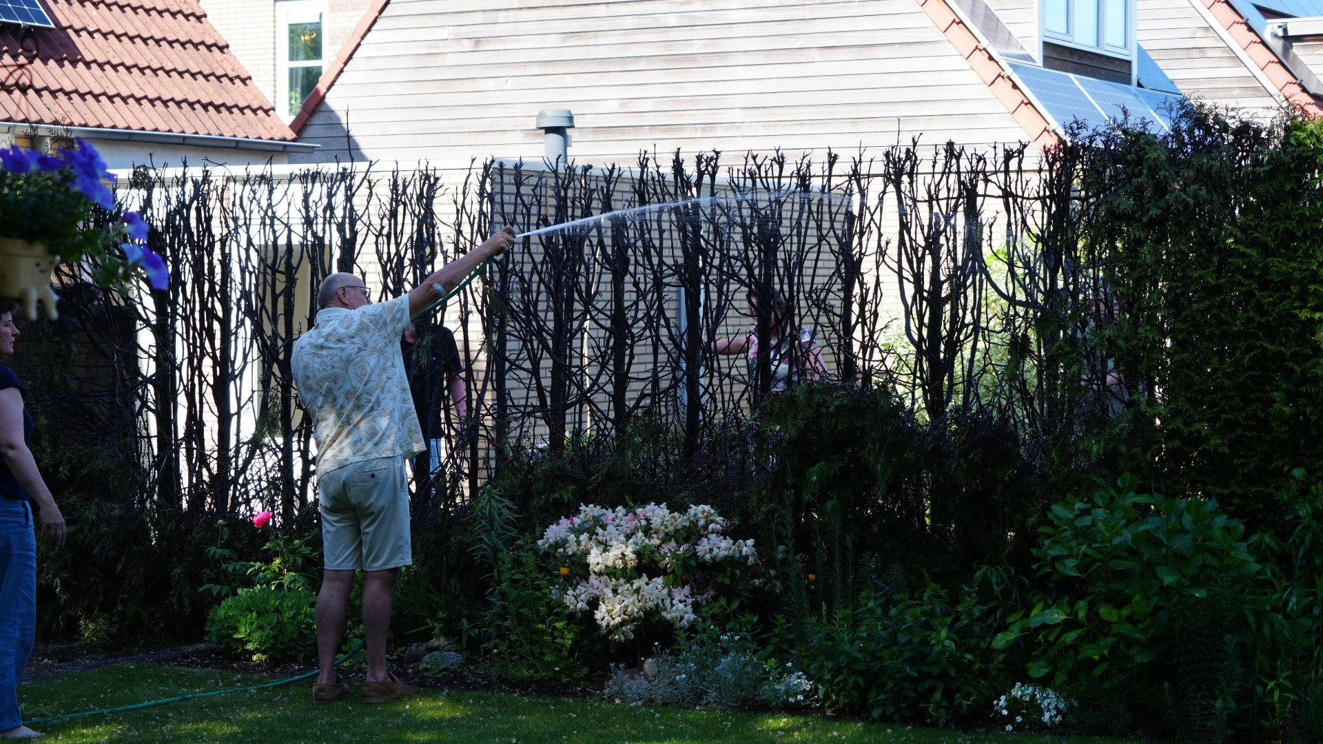 112-nieuws: Coniferenhaag vat vlam in Haren • Brandje in prullenbak na barbecue bij Hoornseplas