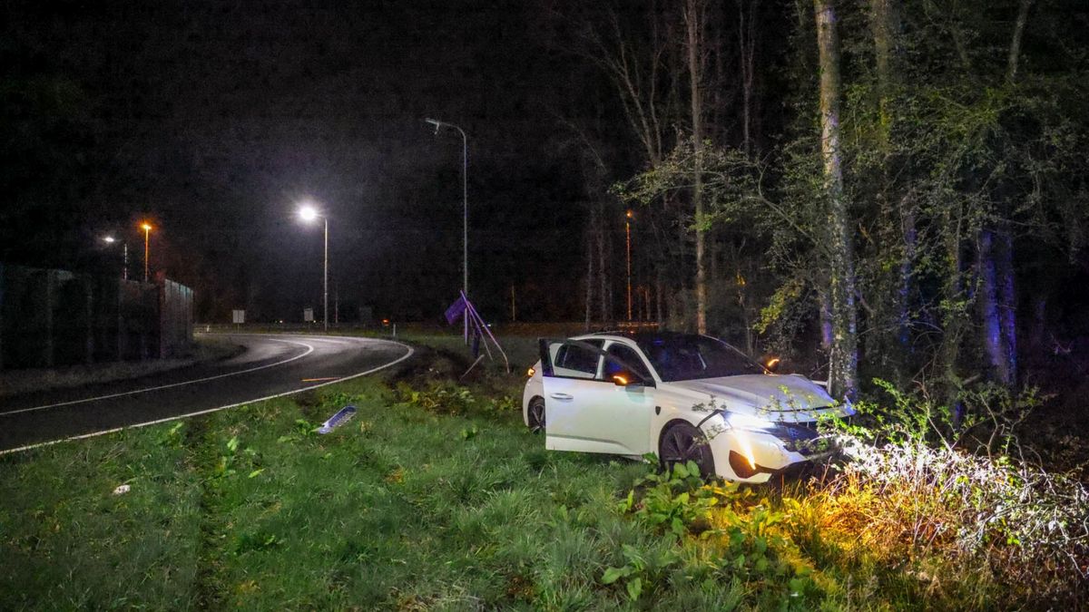 Politiehelikopter en honden ingezet bij achtervolging door Amersfoort