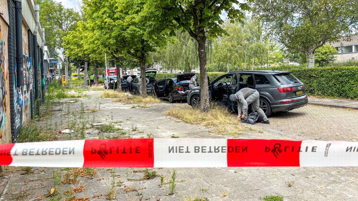 Persoon op vakantiepark Lauwersoog aangehouden | Hulpdiensten naar Jirnsum voor eenzijdig auto-ongel