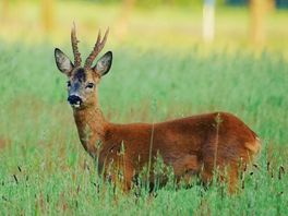 Wat is er dit weekend te doen in Drenthe?