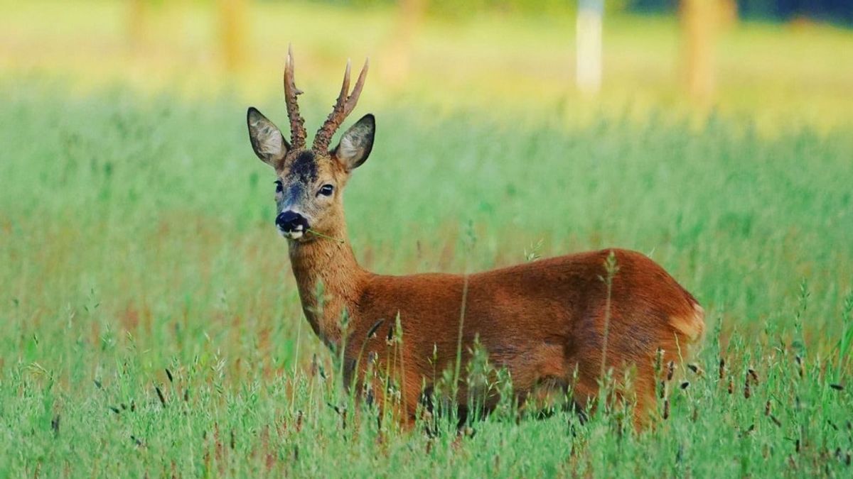 Wat is er dit weekend te doen in Drenthe?