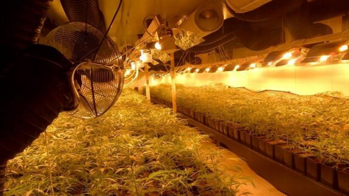 Gemeente Emmen sluit drugspand in Emmerhout