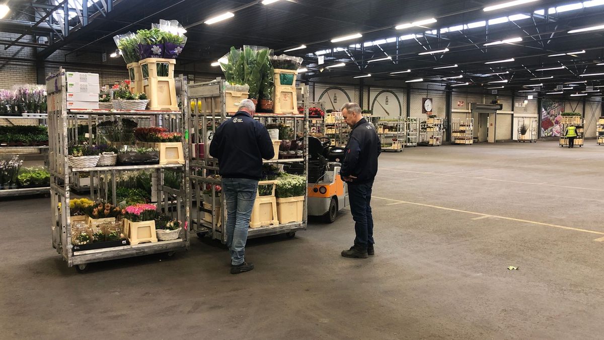 Online bloemenveiling Eelde start drie weken later
