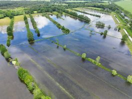 Overstroming treft natuurgebied bij Uffelte: 'Sommige dieren zijn letterlijk verdronken'