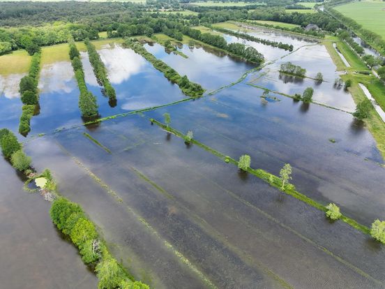Overstroming treft natuurgebied bij Uffelte: 'Sommige dieren zijn letterlijk verdronken'