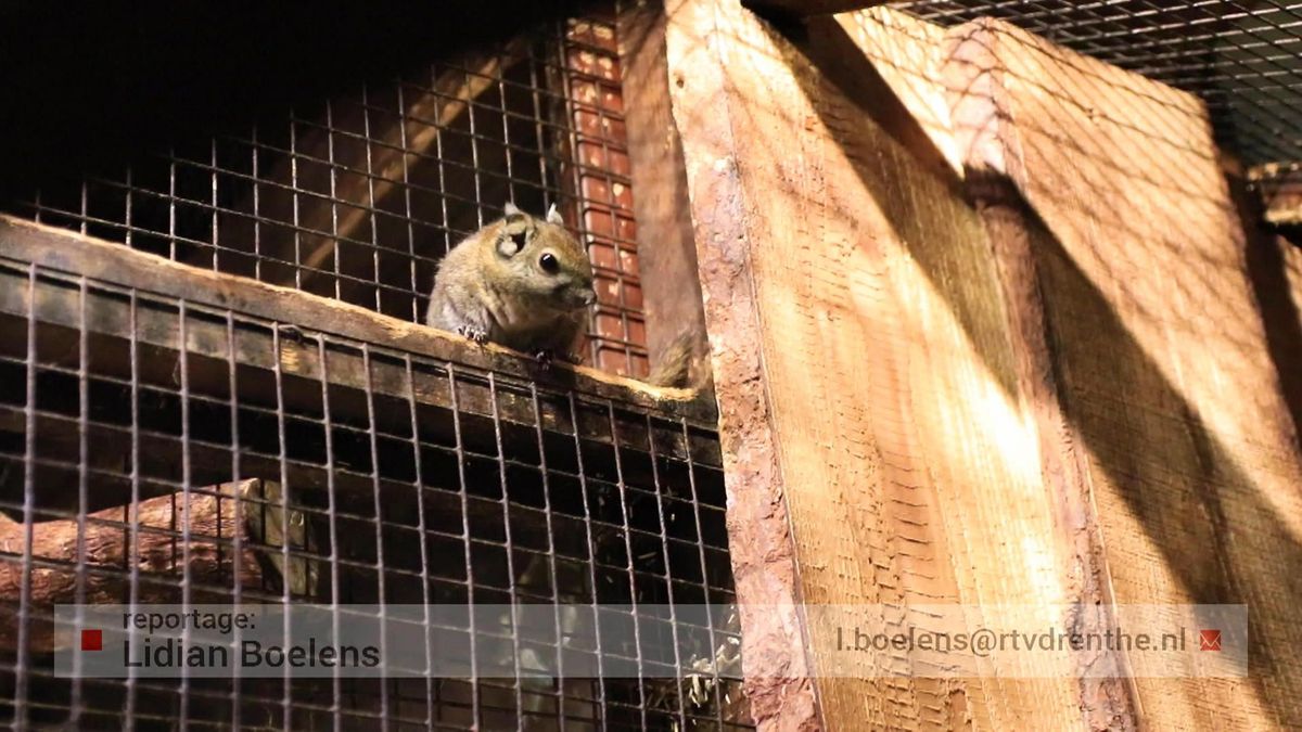 Zoo Bizar merkt de gevolgen van de lockdown