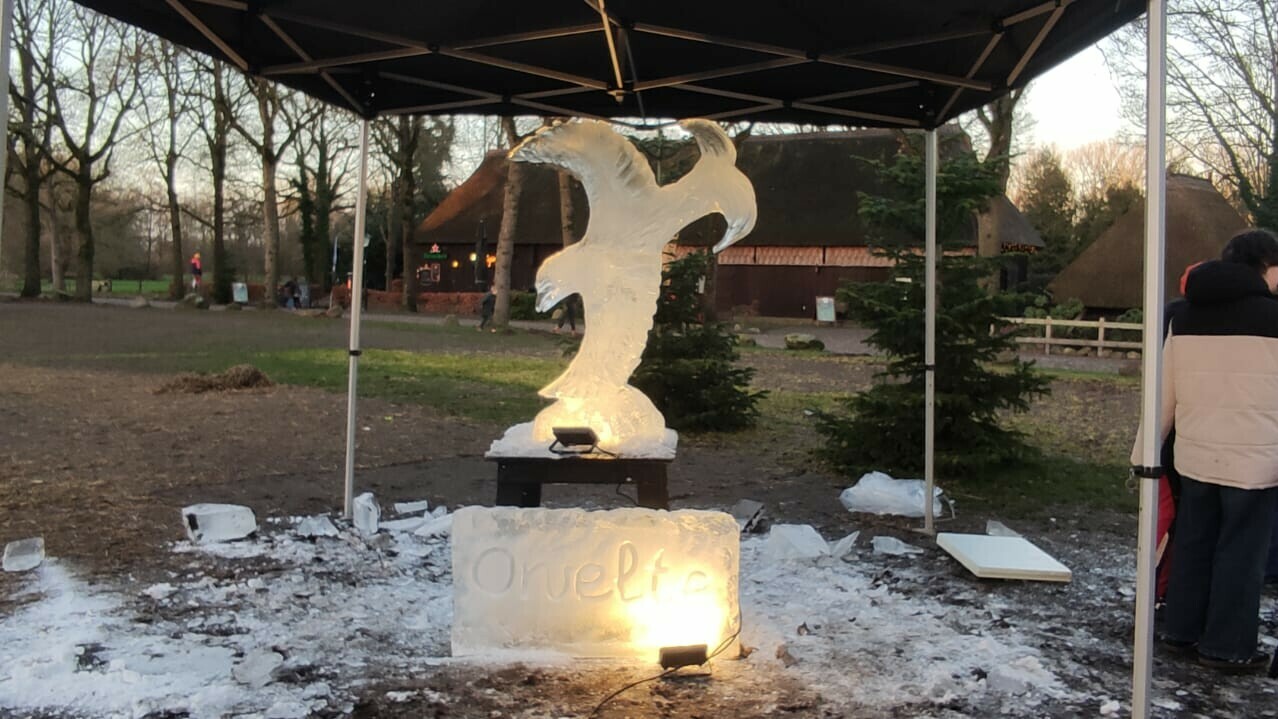 Rust in Orvelte verstoord door kettingzagen: 'Zou het een beer worden?'