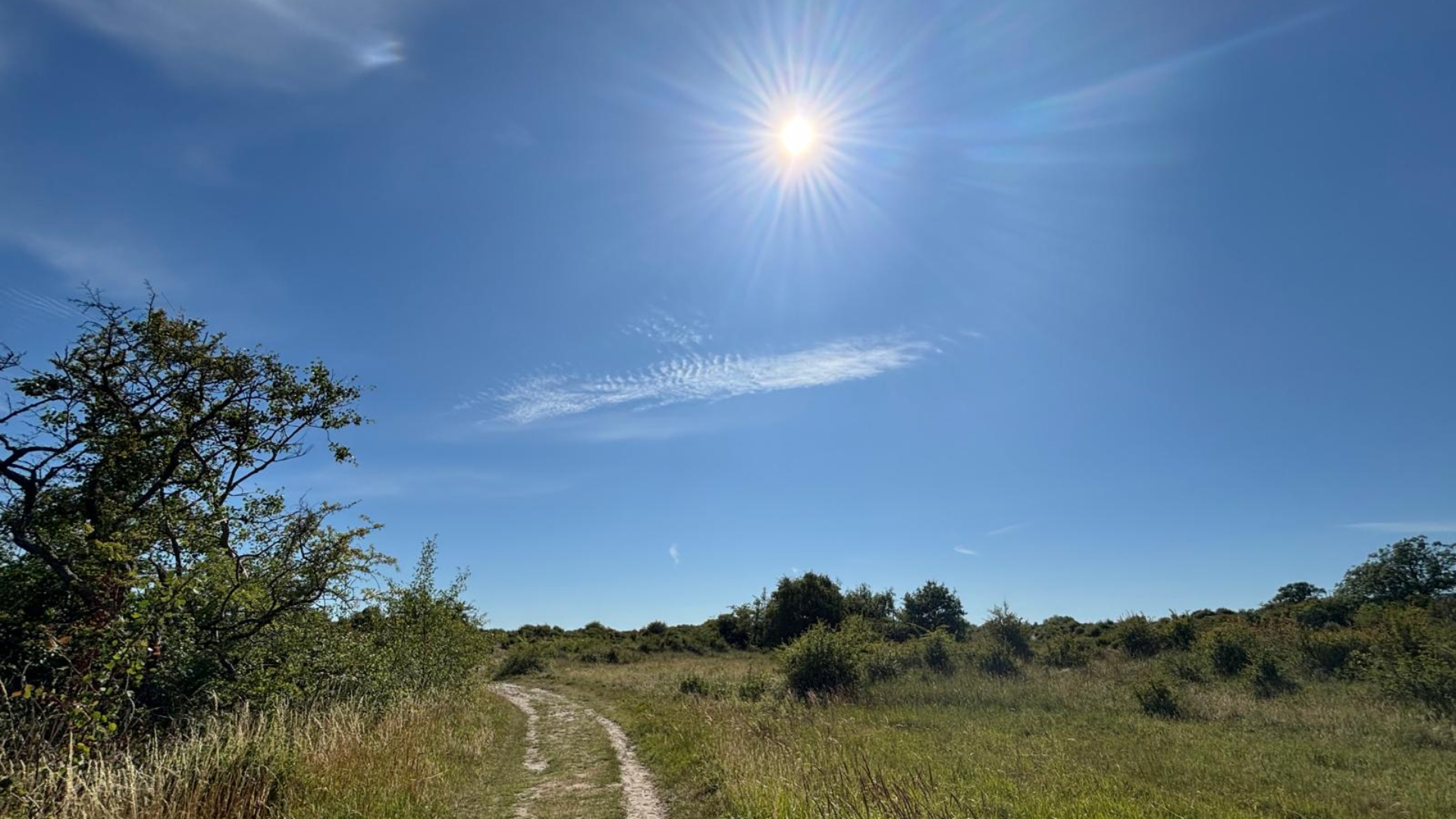 Zondag kan de temperatuur zelfs oplopen tot 24 graden