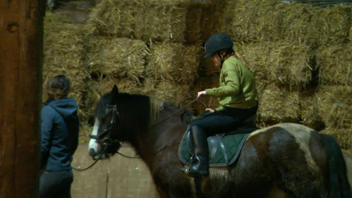 Uit de rolstoel op het paard: Tessa zoekt een nieuwe sport | Groningen Beweegt Samen