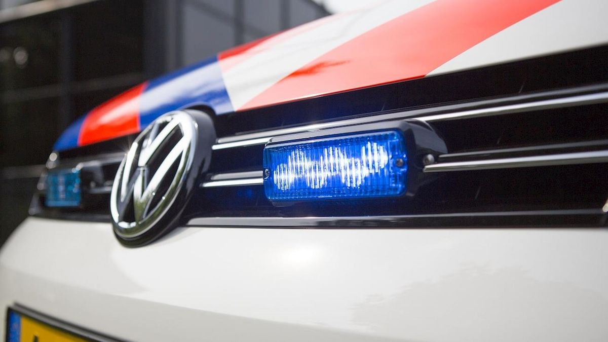 Politie achter knuffeldieven aan in Schuinesloot