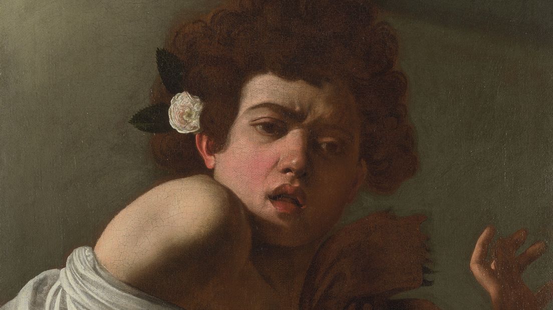 Caravaggio, Een jongen gebeten door een hagedis