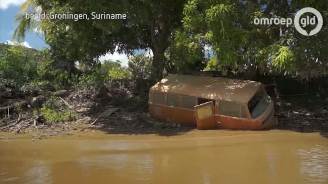 Ze zijn blank, ze spreken met een onvervalst Surinaamse tongval en ze zijn allemaal nazaten van 400 meest Gelderse kolonisten die in 1845 naar Suriname vertrokken. De Boeroes, blanke Surinaamse boeren,  vieren dit jaar het 170-jarige bestaan van hun gemeenschap.