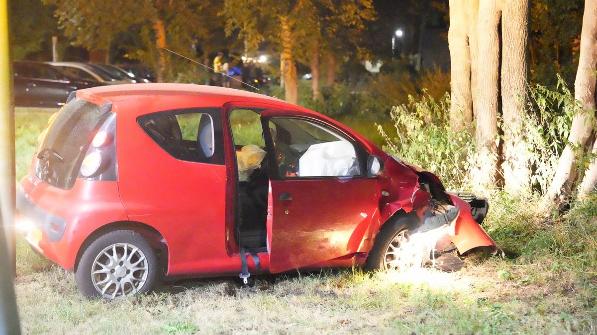 Auto botst tegen boom in Meppel