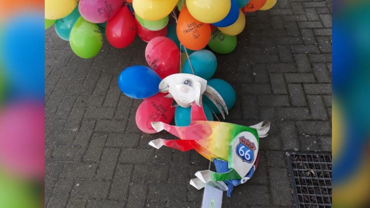 Schinveldse Hoej-geet landt in Oploo