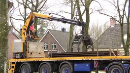 Bram regelt het verkeer tijdens The Passion in eigen dorp