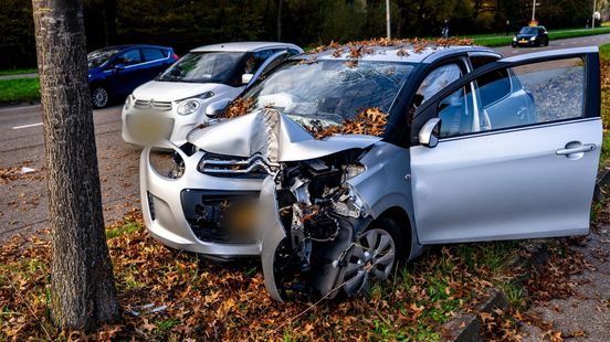 Auto botst tegen boom, bestuurder gewond
