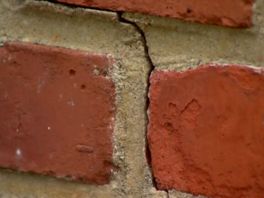 Kamerleden eisen dat kabinet iets doet tegen winsten schadebureaus