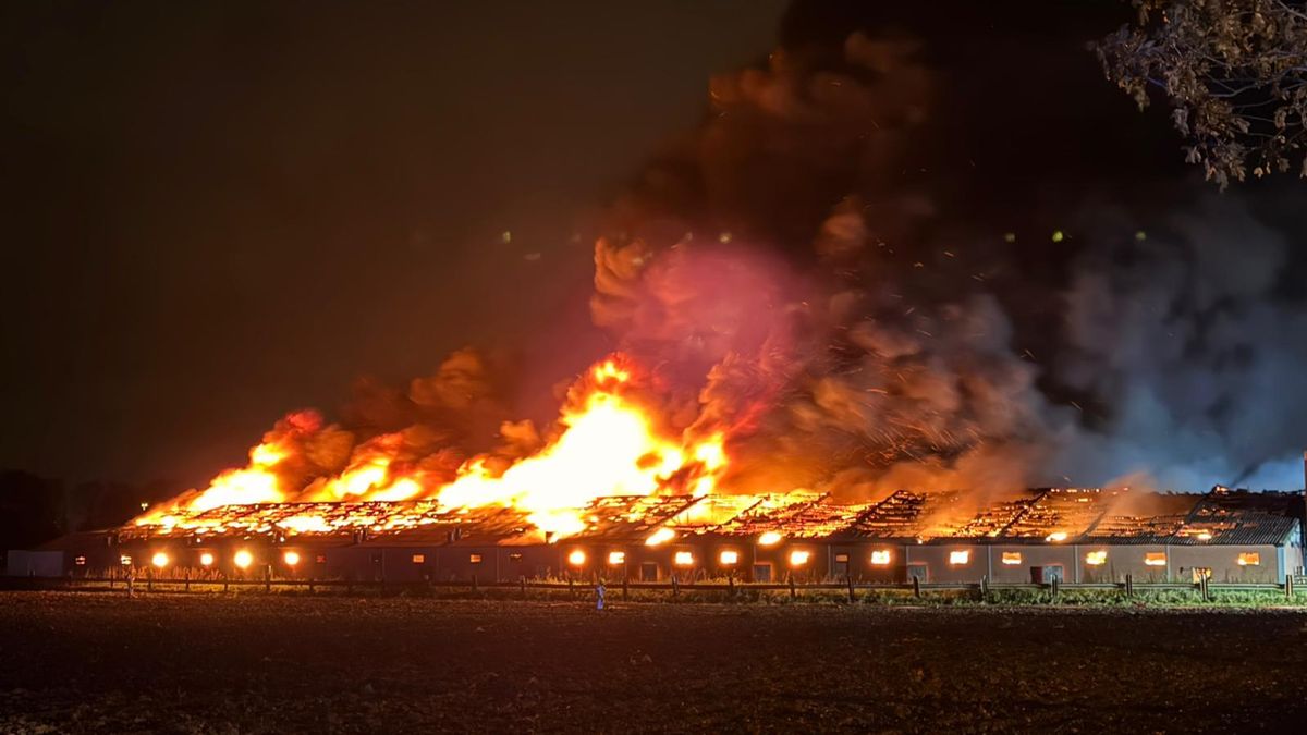 Groot alarm voor brand in varkensstal Dieteren