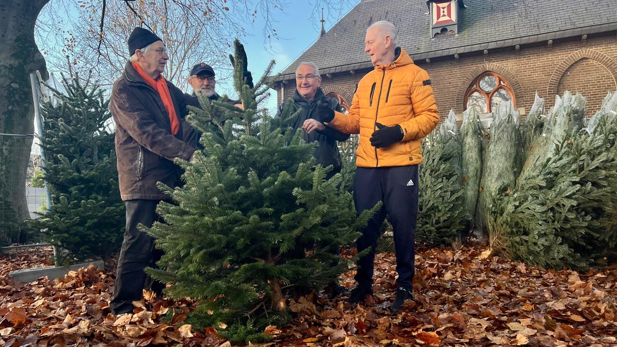 ‘Mogen we die ook nog even zien?’ Kerstbomen struinen bij Barbarakerk