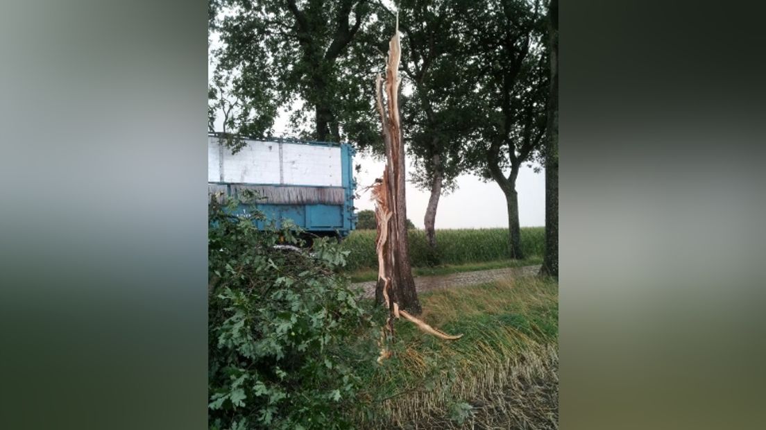 Omgewaaide bomen in Bunne (Rechten: Jans Menninga)