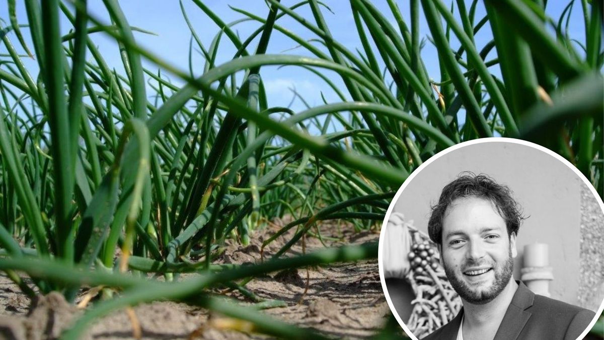 PFAS op de akkers in Sluiskil? PvdA Terneuzen wil uitsluitsel