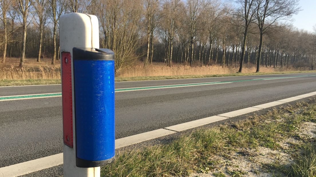 Wildreflectoren moeten reeën beschermen tegen voorbijrazende auto's