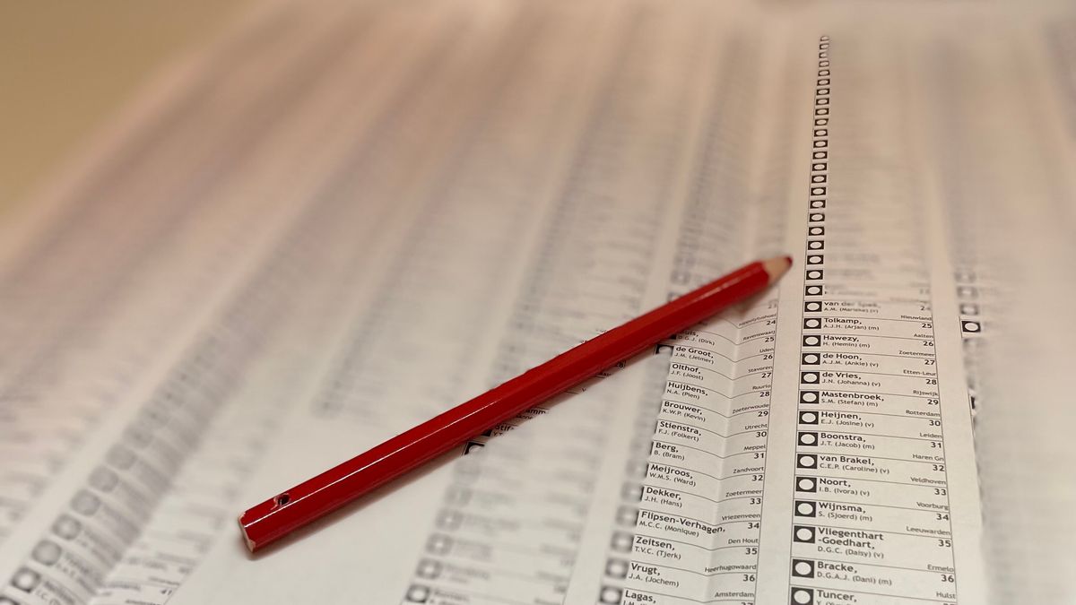 Drie Friese kandidaten op lijsten gemeenteraadsverkiezingen verschenen voor de rechter