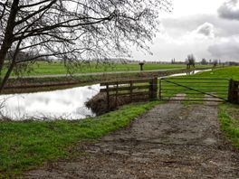 Utrechtse politiek spreekt zich uit vóór bouwen in polder Rijnenburg