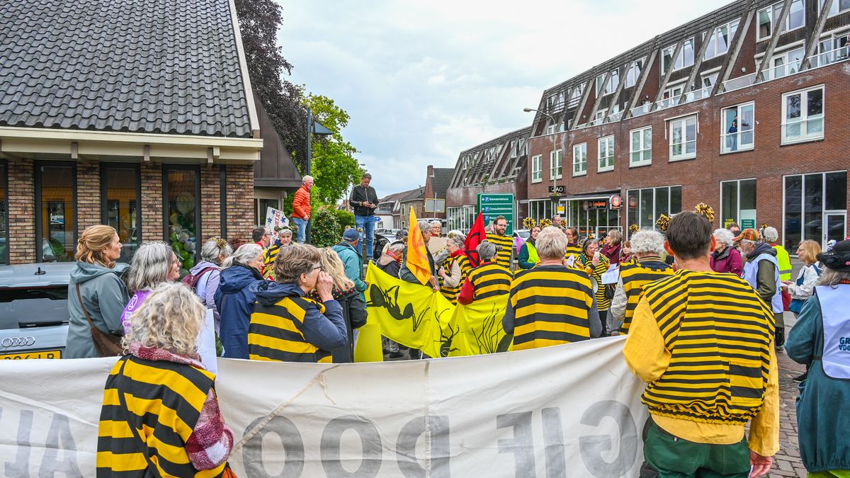 Bijen demonstreren tegen lelieteelt Roden