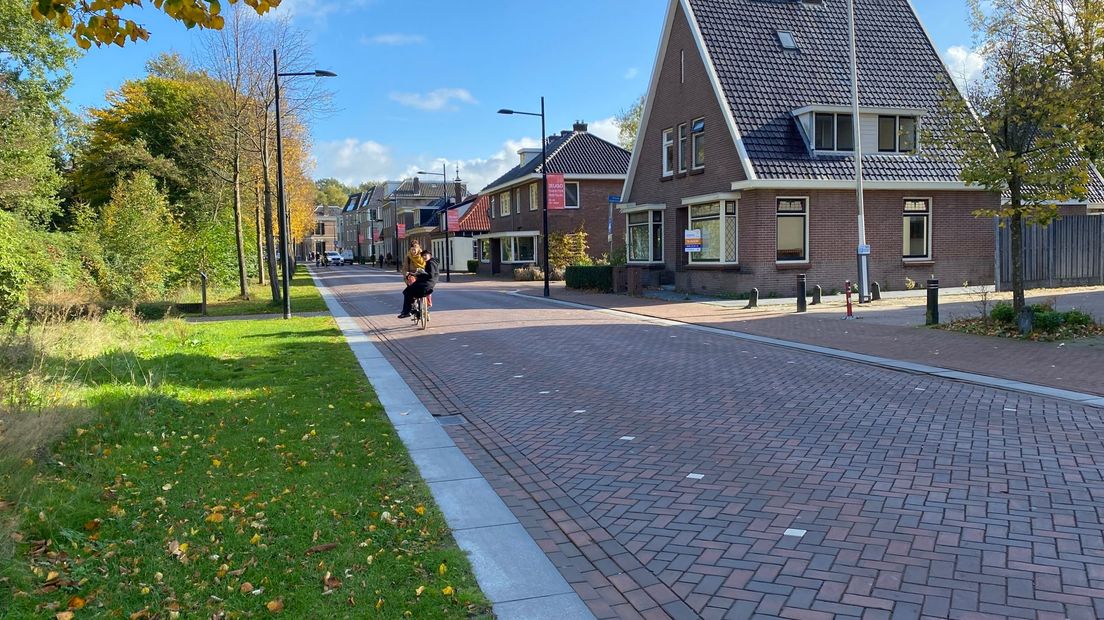 De witte stippen dienen als suggestiefietsstroken en moeten fietsers een duidelijke plek geven op de rijbaan.
