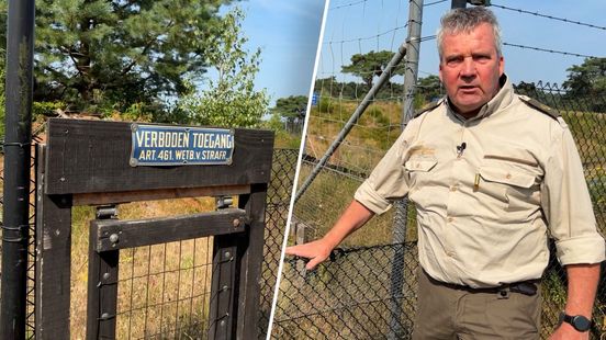 Hekken omlaag voor Veluws wild: 'Blijft vreemd dat ze er staan'