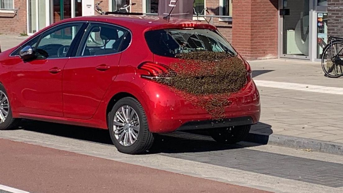 Bijen op een rode auto in Hoogeveen (Rechten: Marcel Rensink)