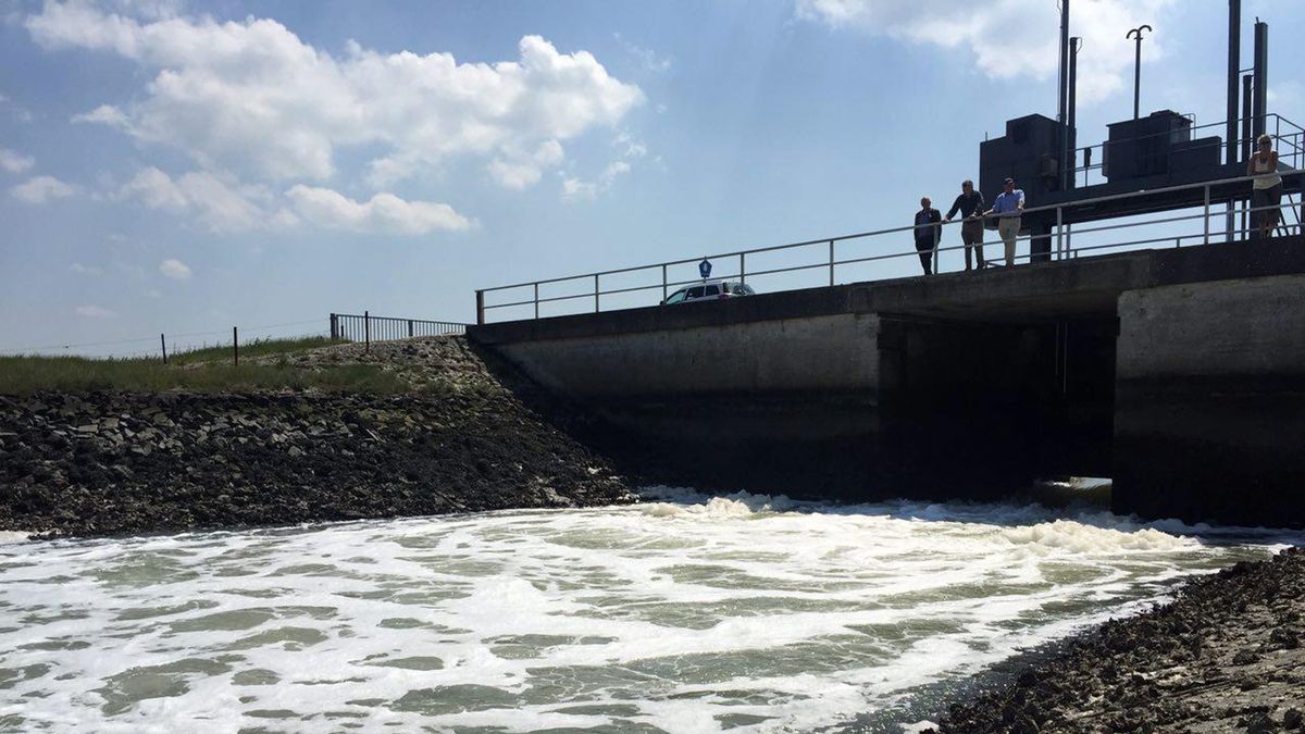 Wethouder Eemsmond: 'We zijn onder de indruk van de Duitse degelijkheid van de oplossing'