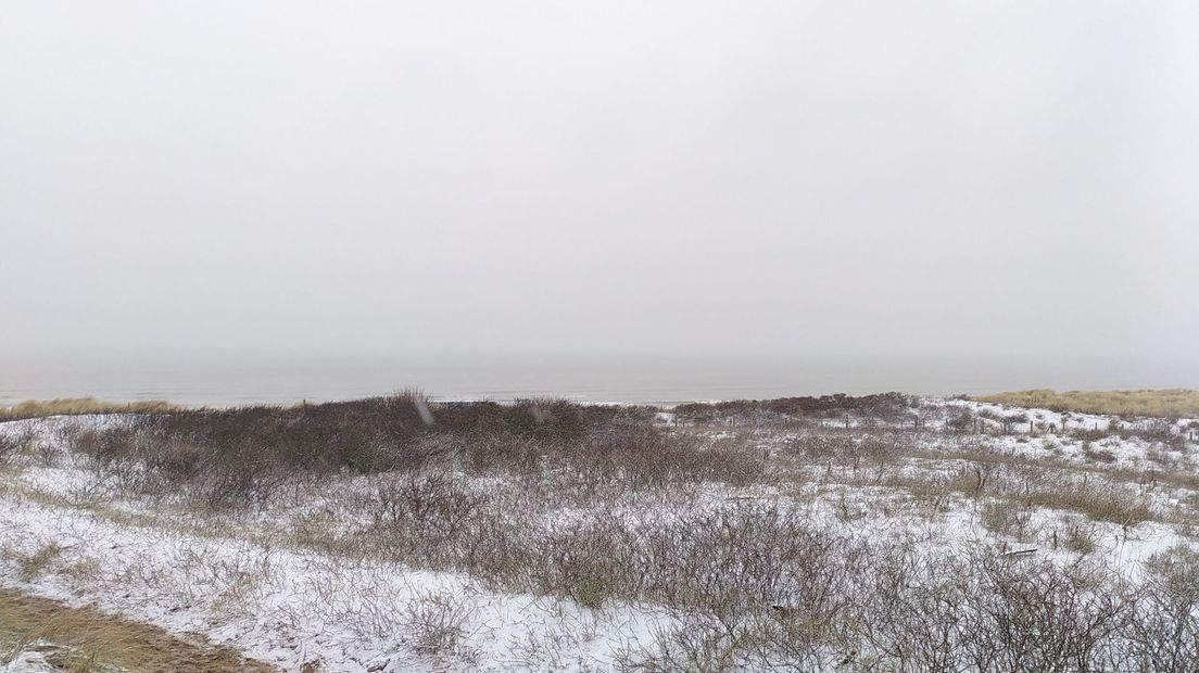 De duinen bij Scheveningen