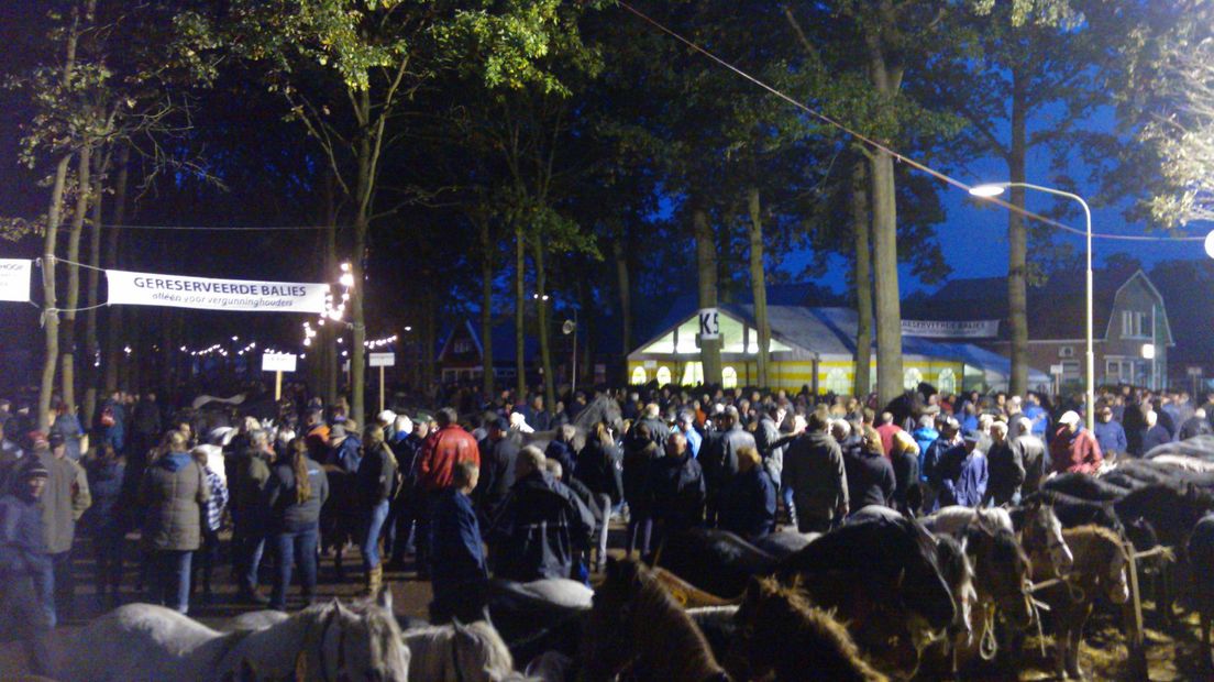 Altijd veel bezoek tijdens de Zuidlaardermarkt en Zuidlaardernacht (Rechten: archief RTV Drenthe)