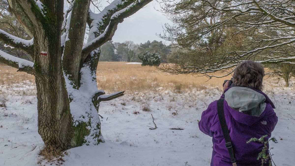 Wat is er dit weekend te