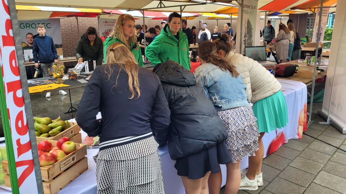 Leerlingen kijken naar raampjes tijdens de bedrijvenbeurs in Krabbendijke