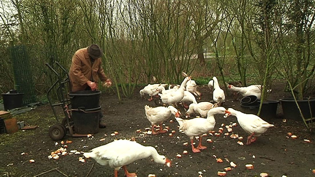 De Abcoudenaar wandelt elke dag  naar het centrum met een zelfgemaakte steekkar.