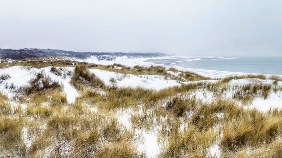 Besneeuwde duinen bij Renesse