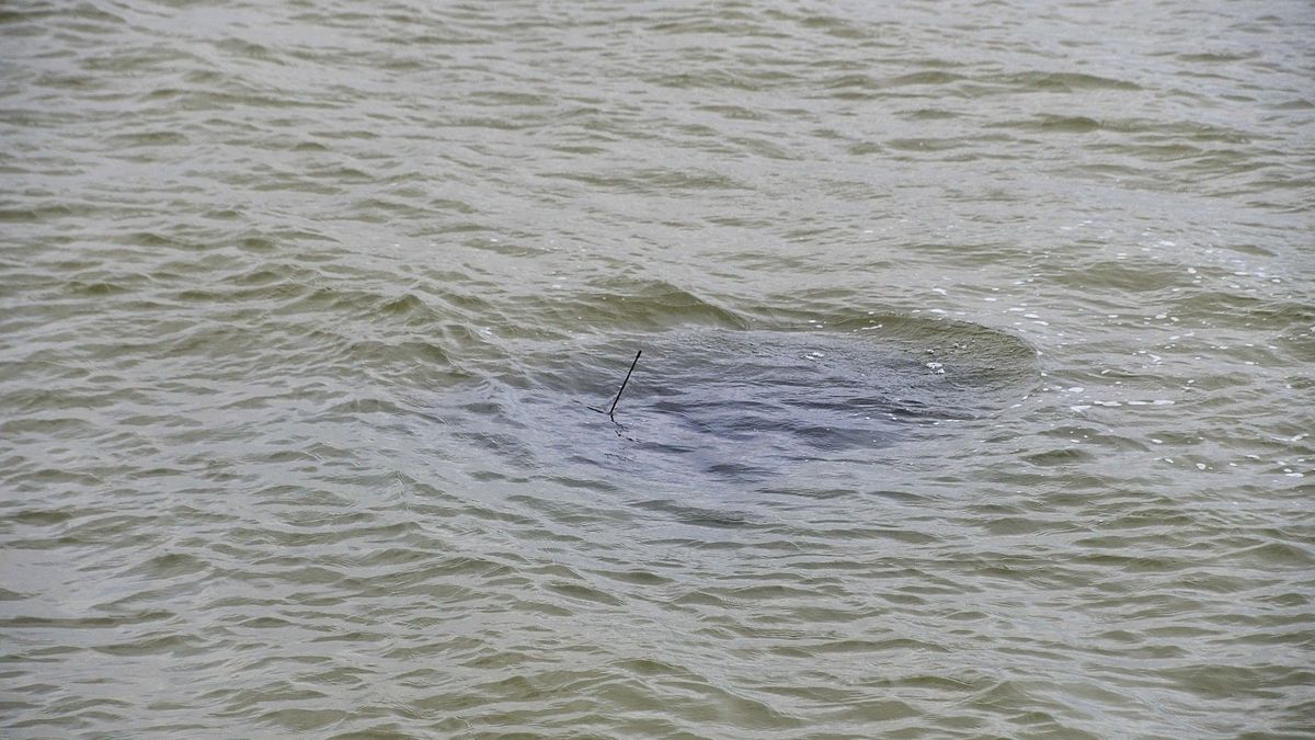 Blub...auto verdwijnt in de Westerschelde