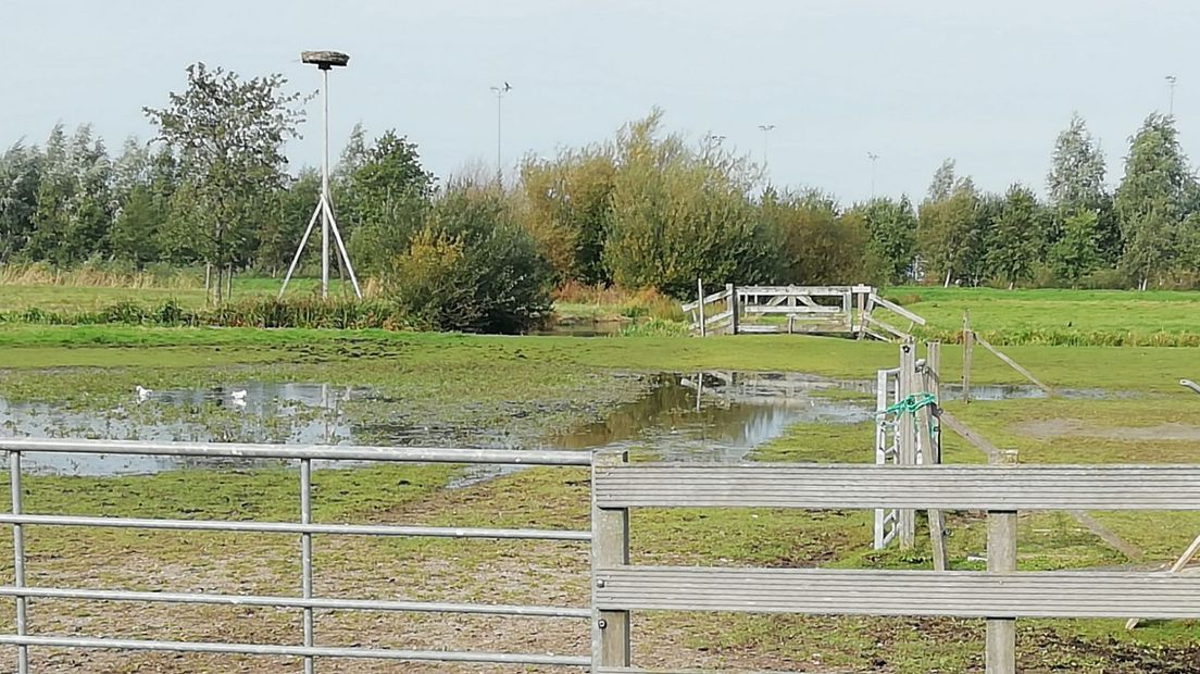 Bouwlocatie Gouwe Huse