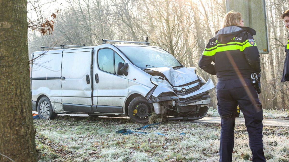 Bestelbus botst tegen boom bij Nieuw-Amsterdam