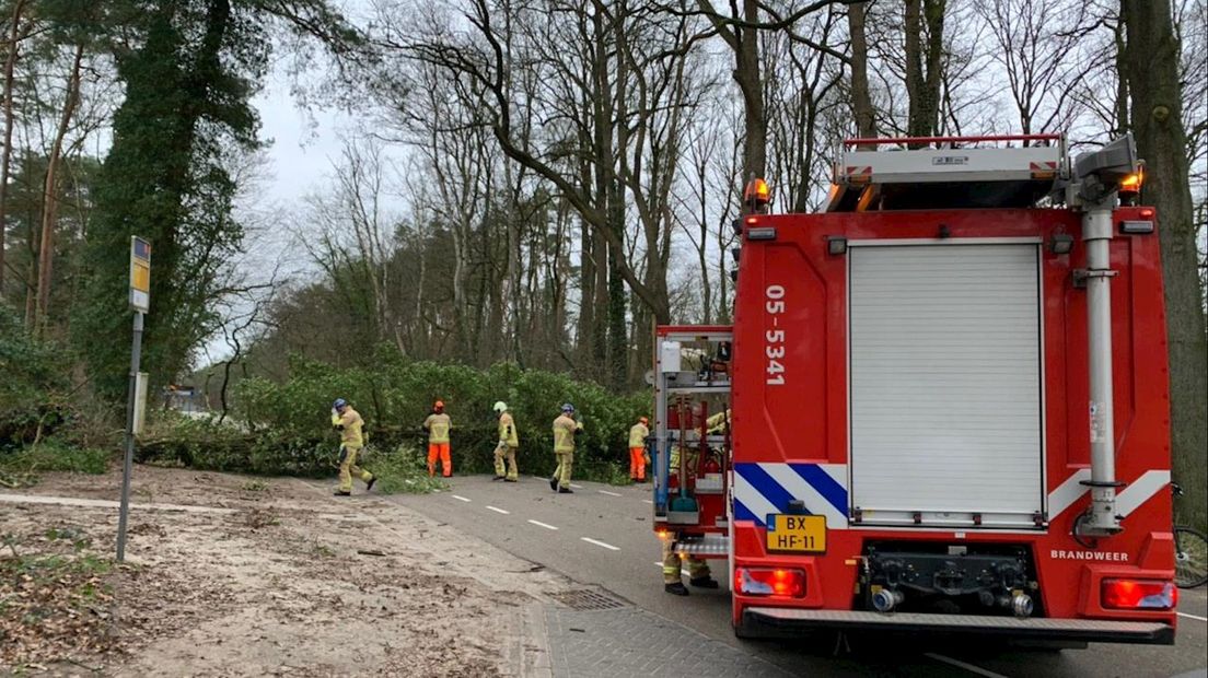 Een omgewaaide boom versperde de hele Luttenbergerweg tussen Hellendoorn en Haarle