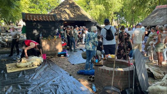 Foto: Dorp komt massaal in actie voor de schaapskudde en viert samen feest
