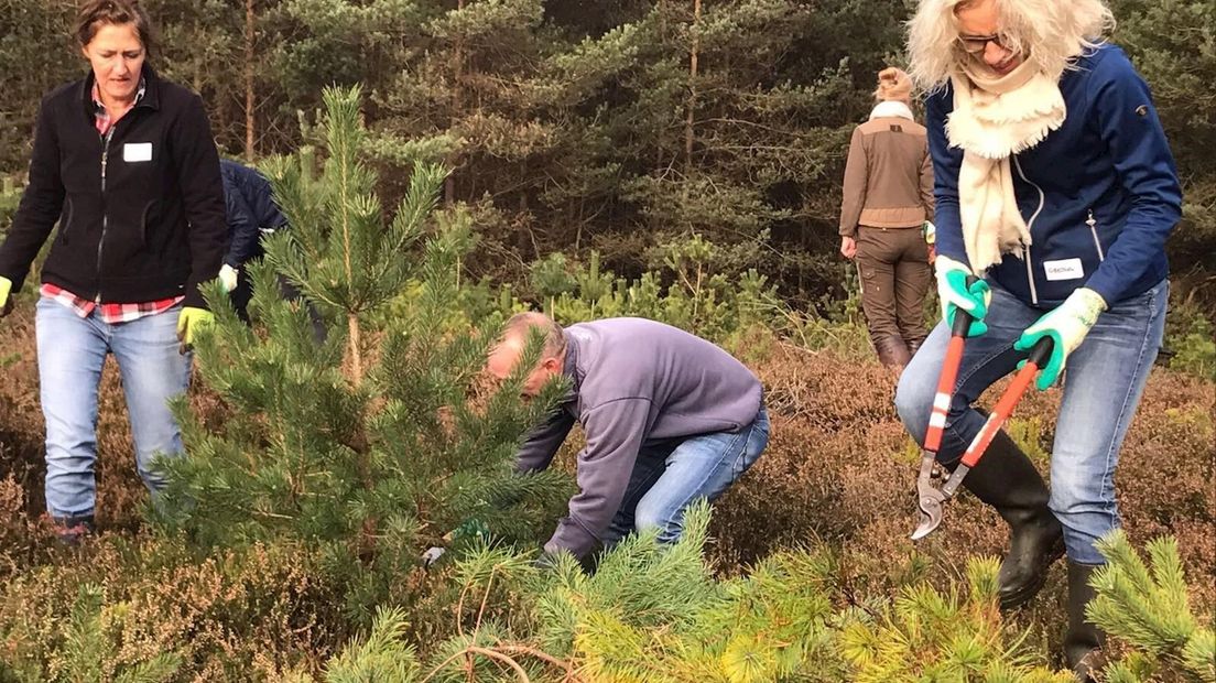 Recordaantal vrijwilligers in actie tijdens Natuurwerkdag